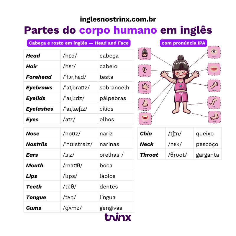 partes da cabeça e rosto em inglês