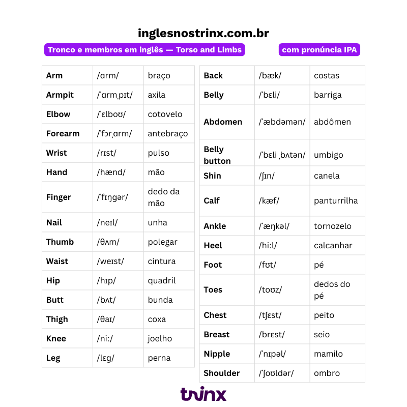 tronco e membros em inglês